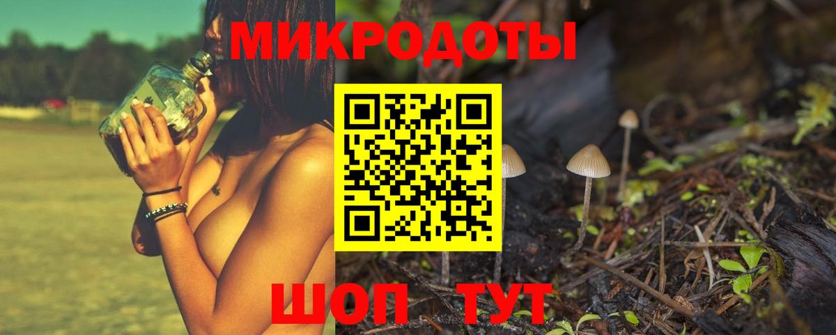 Нурлат  Псилоцибиновые грибы Psilocybine cubensis  Вход с VPN 